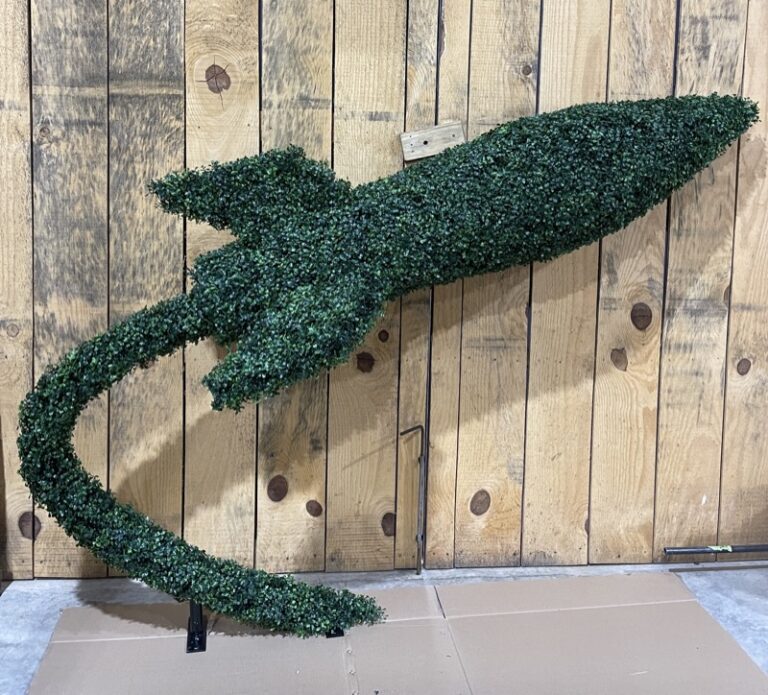 Buxus Sempervirens ‘Rotundifolia – Poodle Topiary – Learn More