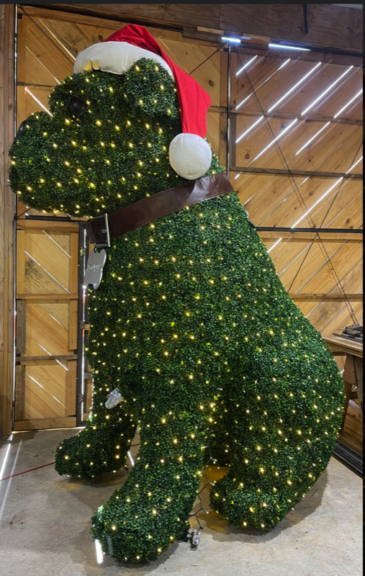Side view of the boxwood bulldog topiary lit with string lights, wearing a Santa hat and collar