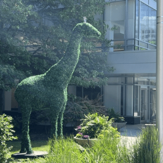 14 foot Giraffe with Outdoor Boxwood Foliages | TOPIARYTREE.NET