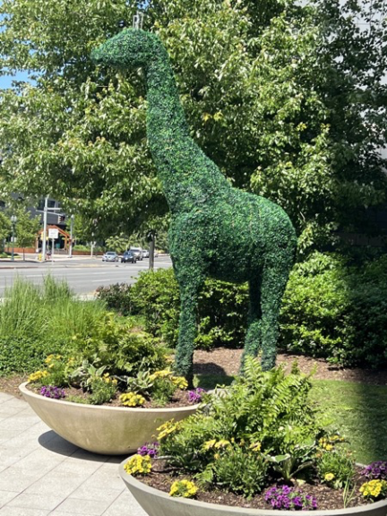 Clipped green giraffe topiary in a planter bed beside a street