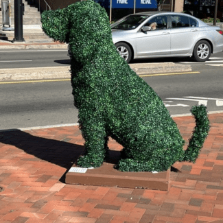 Large Sitting Dog - 4 foot with Outdoor Boxwood Foliages | TOPIARYTREE.NET