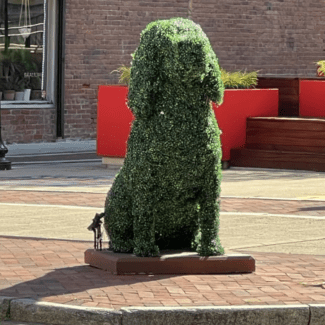 Large Sitting Dog - 4 foot with Outdoor Boxwood Foliages | TOPIARYTREE.NET