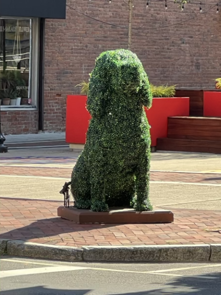 Boxwood dog topiary sitting on a street corner, storefront and red planter boxes behind it