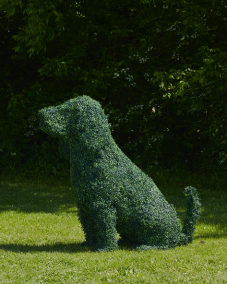 Side profile of a boxwood dog topiary on grass, with trees in the background