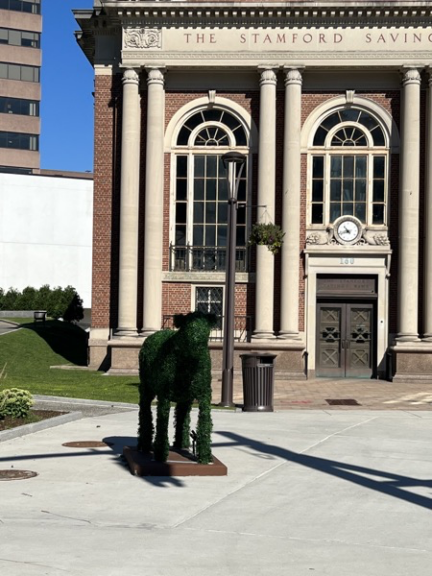 Five foot cow topiary seen from behind on a city plaza, bank facade with tall columns beyond