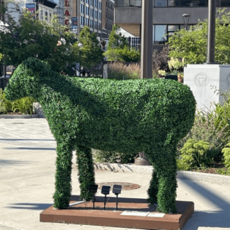Custom Cow 5 foot Topiary | TOPIARYTREE.NET