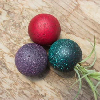 Wooden Orbs to Hold Airplants @ Baileyi X Streptophylla | TOPIARYTREE.NET