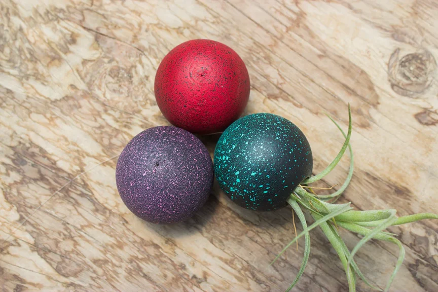 Three wooden orbs, red, purple, and teal: grouped on a wood surface with an air plant