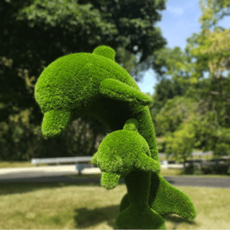 Flying Dolphin Topiaries - Commercial Appeal & Size | TOPIARYTREE.NET