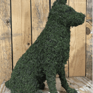 36-inch - Sitting German Shepherd Topiary - Moss Covered | TOPIARYTREE.NET