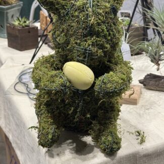 Sitting Topiary Bear! - Sphagnum Mossed from Oregon (14 x 8.5 x 9.5) HWD | TOPIARYTREE.NET