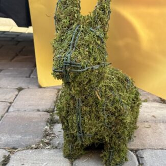Life Size Bunny - Sphagnum Mossed from Oregon (14 x 14 x 6.5) HWD | TOPIARYTREE.NET