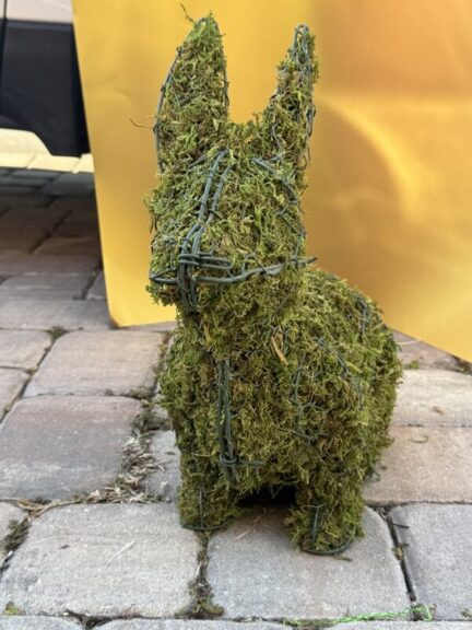 Mossed rabbit topiary head-on with both ears upright, green wire frame showing through the moss