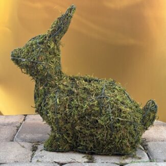 Life Size Bunny - Sphagnum Mossed from Oregon (14 x 14 x 6.5) HWD | TOPIARYTREE.NET