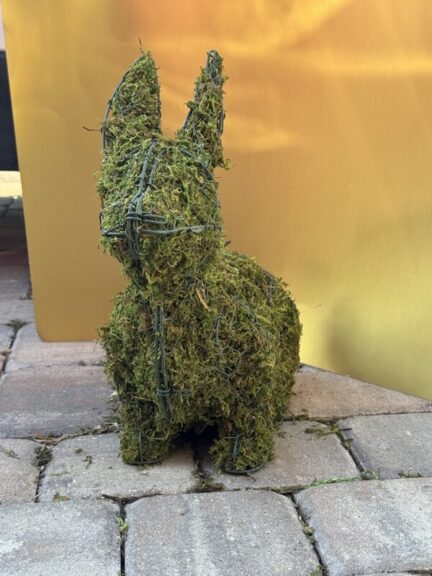 Three-quarter view of the sitting rabbit topiary on paving stones against a gold backdrop
