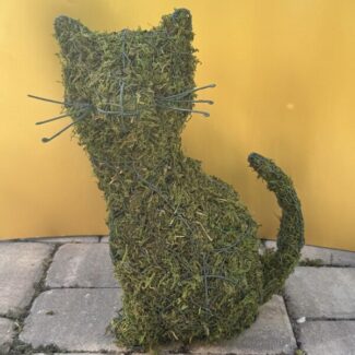 Sitting Topiary Cat with whiskers! - Sphagnum Mossed from Oregon (17 x 10 x 7) HWD | TOPIARYTREE.NET
