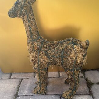 Standing Deer - Whimsical (19 x 15 x 7.5) HWD | TOPIARYTREE.NET