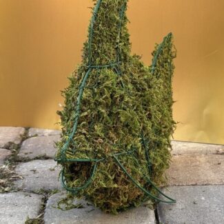 Fishing  Around Moss Topiary!! (12 x 15.5 x 5.5) HWD | TOPIARYTREE.NET