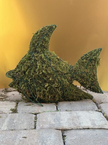 Side view of a mossed wire-frame fish topiary on stone pavers against a gold background
