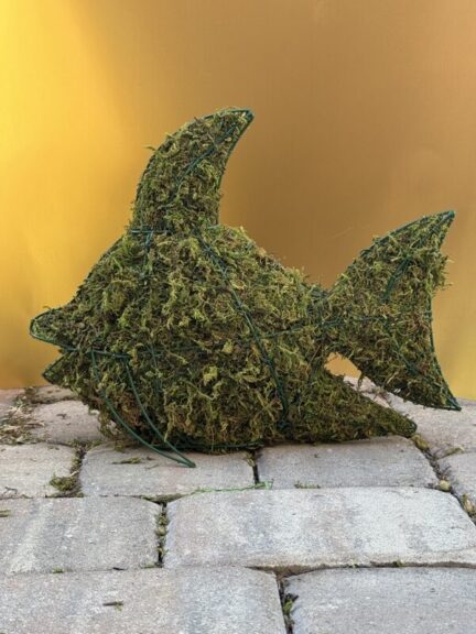 Mossed fish-shaped topiary frame on pavers, tail fin and dorsal fin visible, gold backdrop