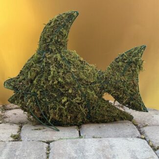 Fishing  Around Moss Topiary!! (12 x 15.5 x 5.5) HWD | TOPIARYTREE.NET