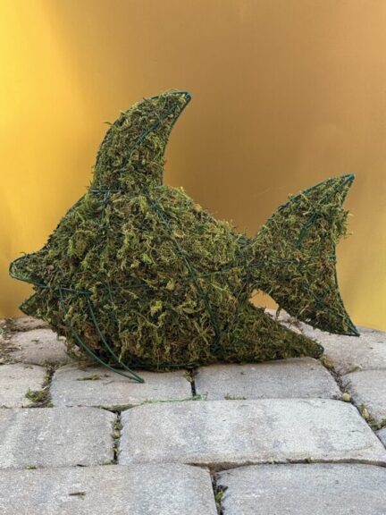 Close view of a moss-covered wire-frame fish topiary's head and dorsal fin against a gold backdrop