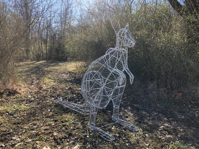 Bare wire kangaroo topiary frame outdoors among bushes, before foliage is added