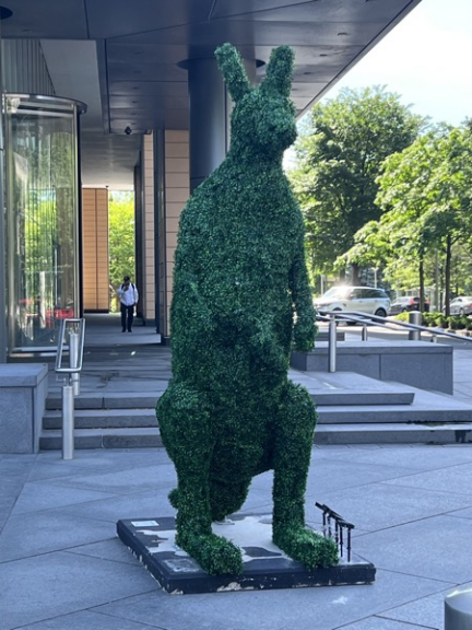 Kangaroo topiary photographed from the front beneath a building entrance overhang