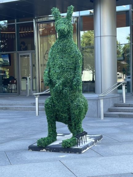 Upright kangaroo topiary in clipped green foliage outside a glass office entrance