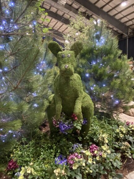 Moss-covered kangaroo topiary displayed indoors among lit pine branches and flowers