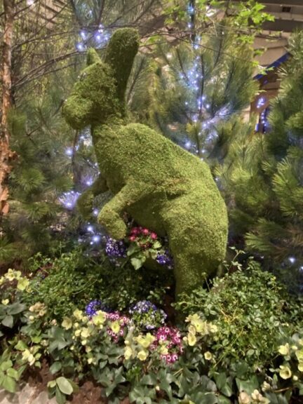 Three-quarter view of a moss kangaroo topiary in an indoor floral display with string lights