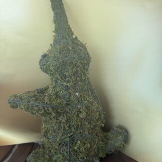 Sitting Topiary Rabbit - Sphagnum Mossed from Oregon (18.5 x 11 x 8) HWD | TOPIARYTREE.NET