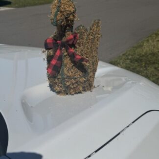 Sitting Topiary Swan (11 x 13 x 6) HWD | TOPIARYTREE.NET