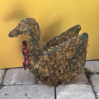 Sitting Topiary Swan (11 x 13 x 6) HWD | TOPIARYTREE.NET