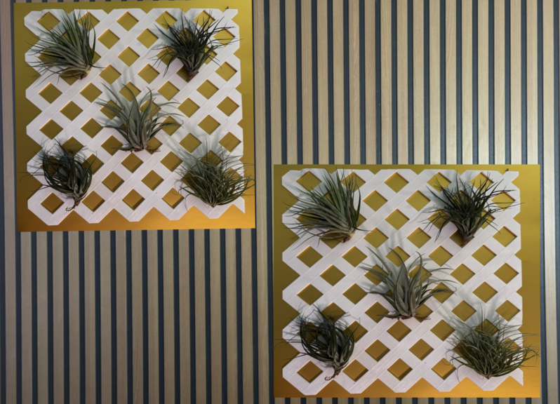 Two white lattice air-plant panels of different sizes against striped wall paneling.