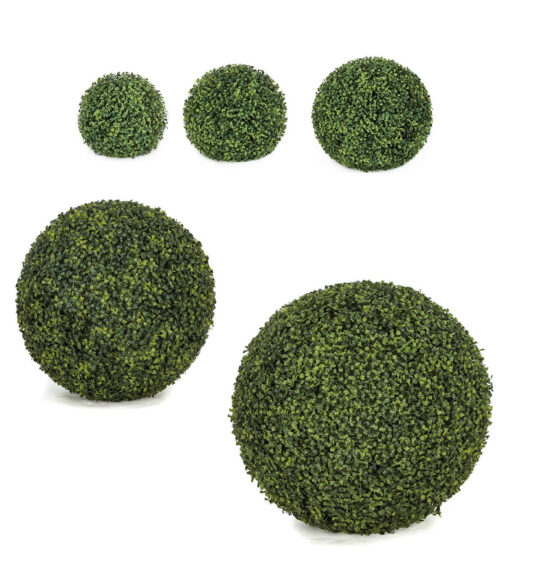 Five boxwood ball topiaries of graduated sizes arranged on a white background, from small to large