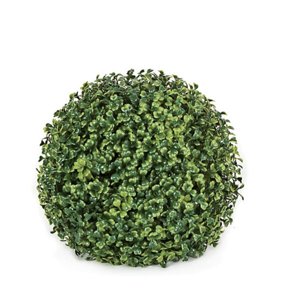 Close-up of a dense green boxwood ball topiary, uniform round shape, white background