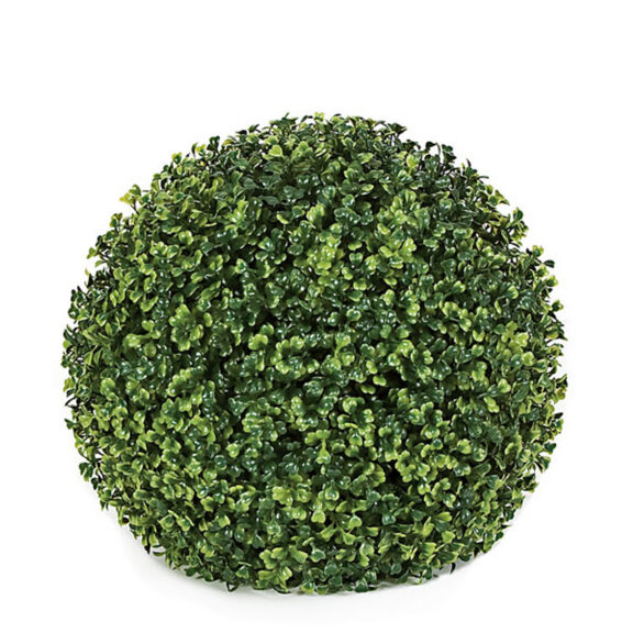 Close-up of a green boxwood ball topiary with visible individual leaf clusters, white background