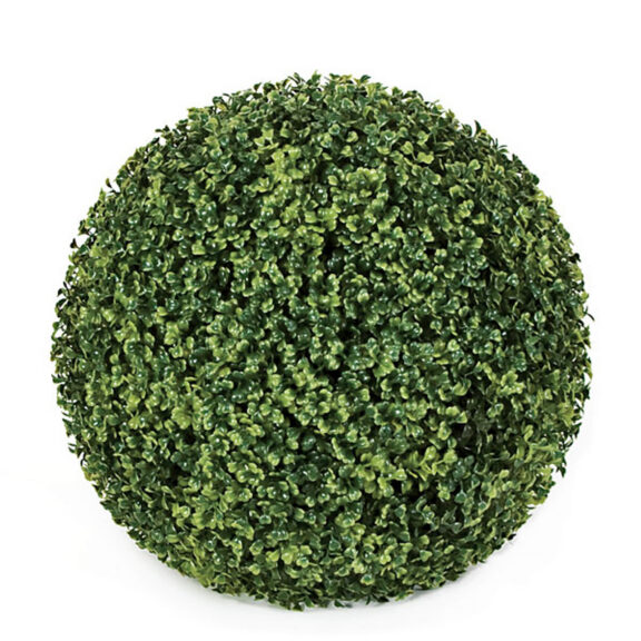 Close-up of a dense green boxwood ball topiary, tightly clipped spherical shape, white background