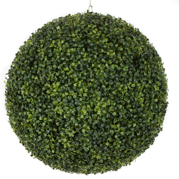Close-up of a boxwood ball topiary hanging by a cord, dense green foliage, on a white background