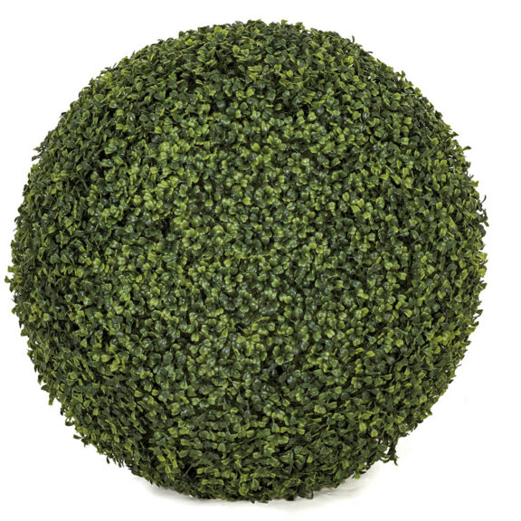 Close-up of a single dense green boxwood ball topiary, spherical and full, on a white background