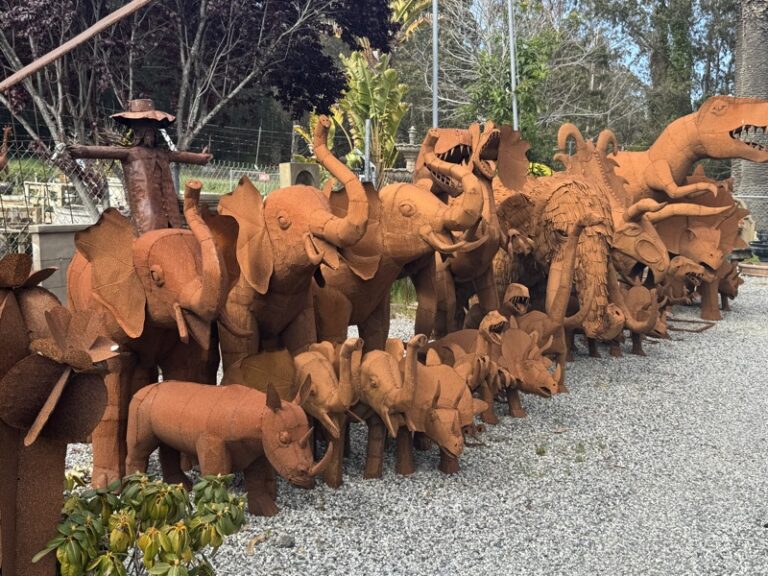 BACHO Topiary – About & FAQs