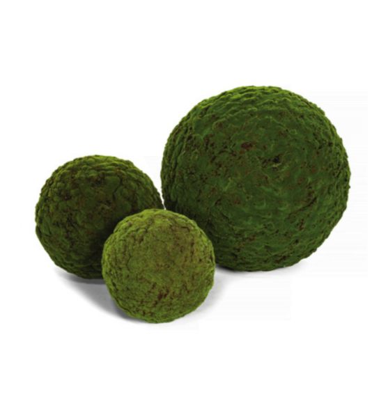Three preserved moss topiary balls of graduated sizes displayed together on white