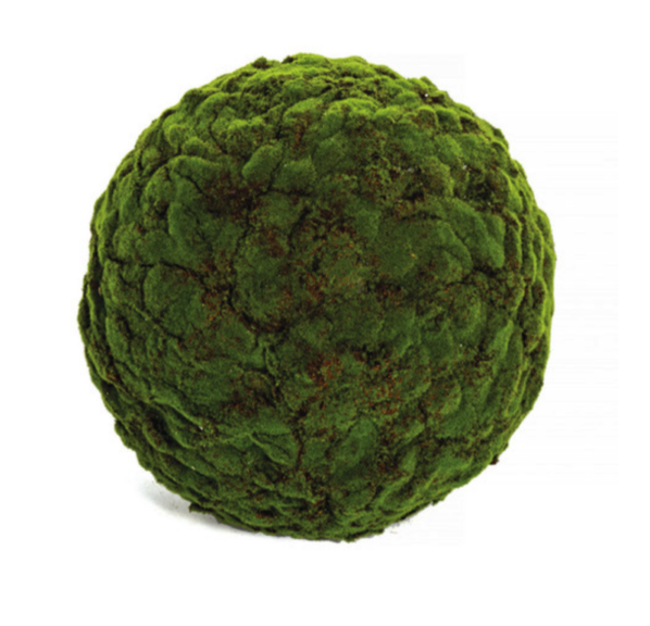 Single preserved moss topiary ball on a white background