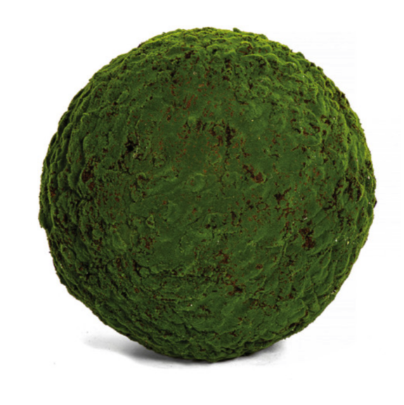 Large preserved moss topiary ball shown on a white background