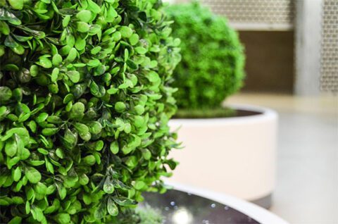artificial-plants-for-indoor-and-outdoor-landscaping