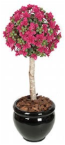 flower topiary on pot