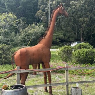 Standing Giraffe- Hand Made Using Scrap Metal, Spanish Style | TOPIARYTREE.NET