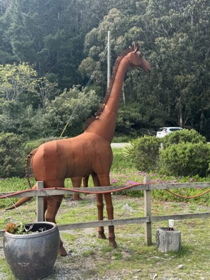 Rusted scrap-metal giraffe sculpture standing behind a wooden fence