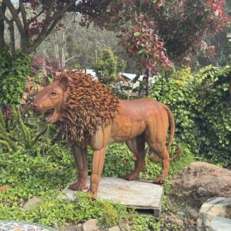 Standing Lion- Hand Made Using Scrap Metal, Spanish Style | TOPIARYTREE.NET